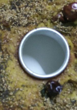 A picture of Handva.