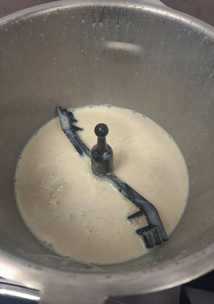 Une photo de Béchamel au robot companion