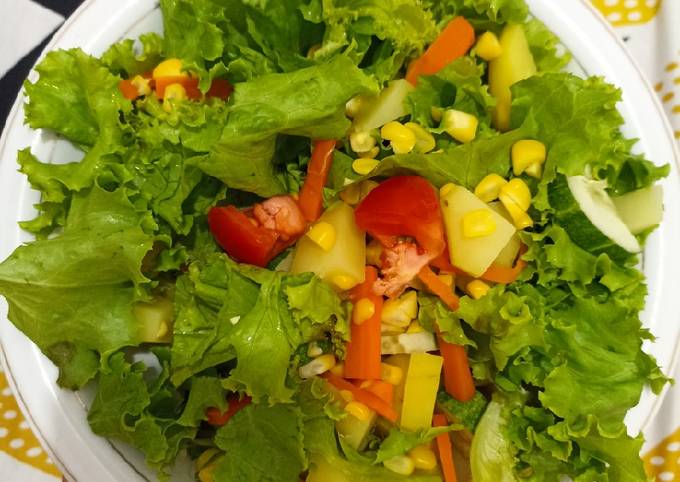 Sayuran Segar yang Pas untuk Membuat Salad Sehat dan Lezat Sayuran Segar yang Pas untuk Membuat Salad Sehat dan Lezat