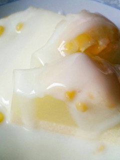 Foto resep Puding jagung susu