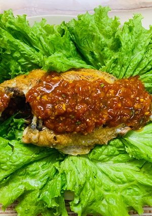 Hình của món Cá điêu hồng chiên sốt cà.
