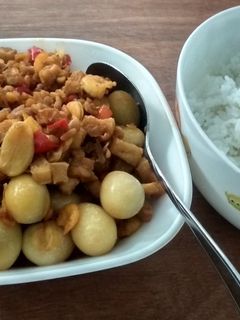 Foto resep Oseng kecap Tempe Udang Telur Puyuh