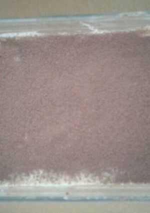 Una foto de Tiramisú sin harina y sin azúcar