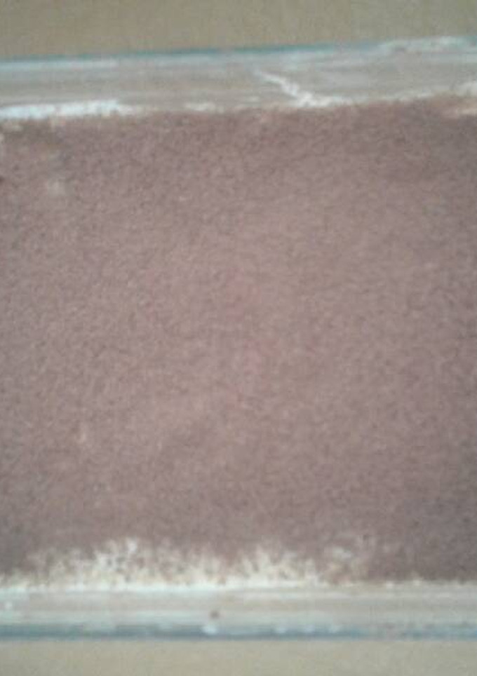 Una foto de Tiramisú sin harina y sin azúcar