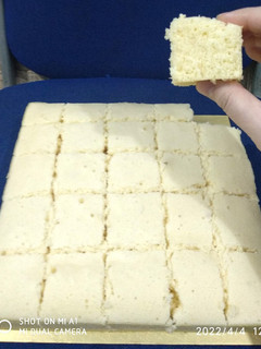 Foto resep Bolu Kukus Santan Susu 2 Telur