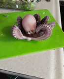 Pulpo cocido