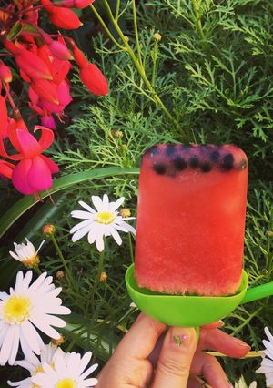 Una foto de Paletas heladas de sandía y maqui 🍉