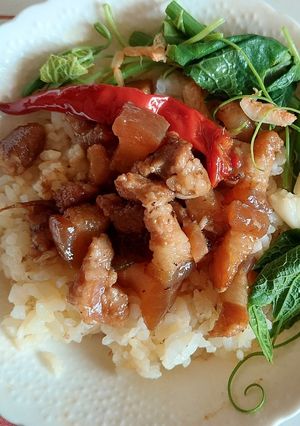 滷肉燥 的食譜成品照片