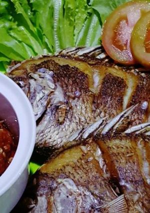 Foto resep Mujair goreng sambal terasi endess