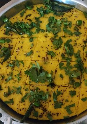 A picture of Naylon khaman dhokla.
