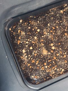 صورة لوصفة كيكة شوكولاته 🍫