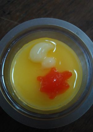 Foto resep Puding sutra jeli2