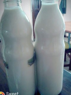 Una foto de Yogur casero bebible. Con leche en polvo