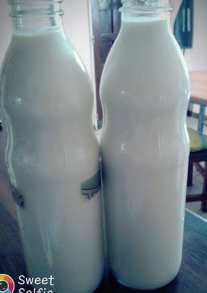 Una foto de Yogur casero bebible. Con leche en polvo