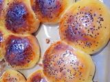 بريوش