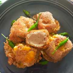 A picture of Tahu bakso.