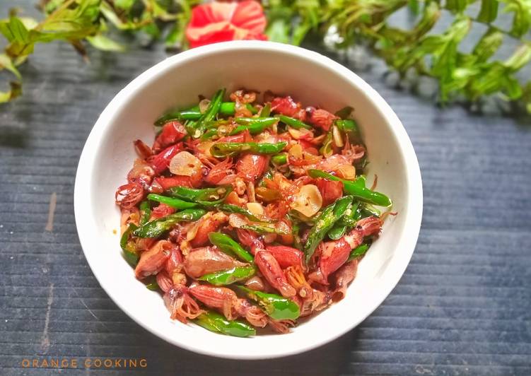 Resep Unik Tumis baby cumi asin cabe ijo Ala Warteg