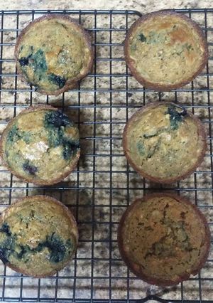 A picture of Blueberry Oat Muffins.