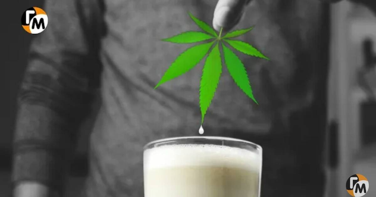 Рецепт молока на марихуане обзор тор браузера видео hyrda вход