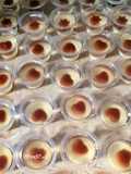 Puding Cup Cokelat dan Leci