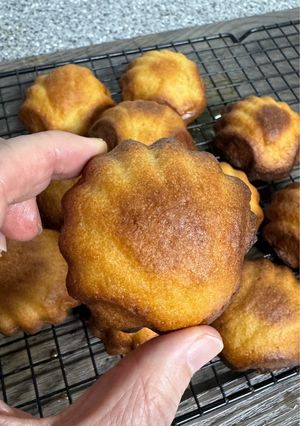 A picture of Butter Rice Cake.