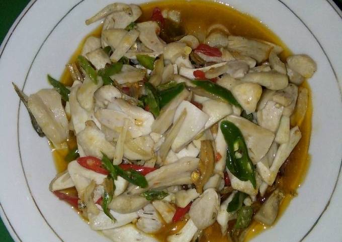 Resep Tumis jamur sawit pedas oleh Hidayah Cookpad Resep Tumis jamur sawit pedas oleh Hidayah Cookpad