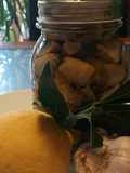 Funghi sott'olio mushrooms in oil