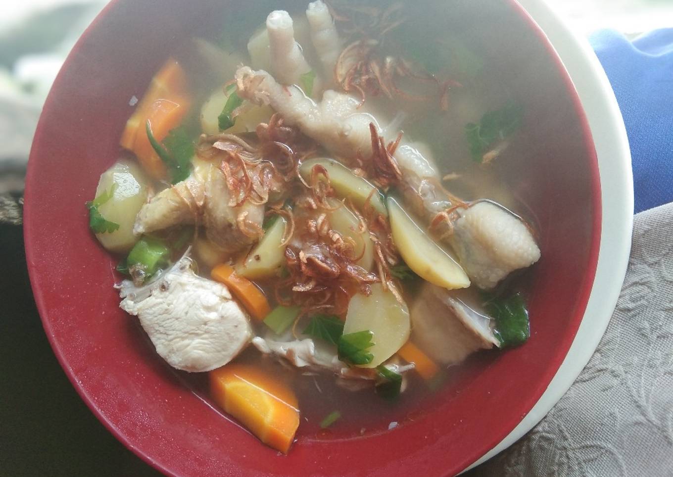 Sup ayam sayuran