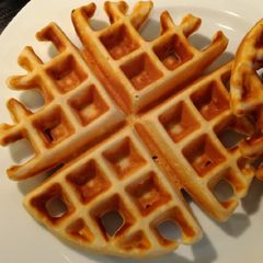 A picture of Waffles.