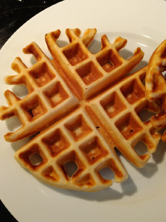 A picture of Waffles.