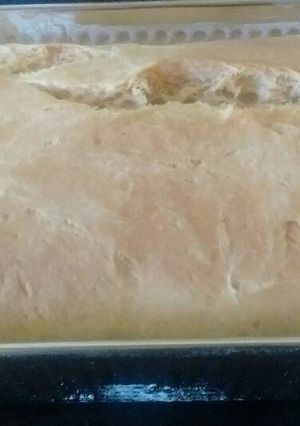 Una foto de Pan de Molde 🍞