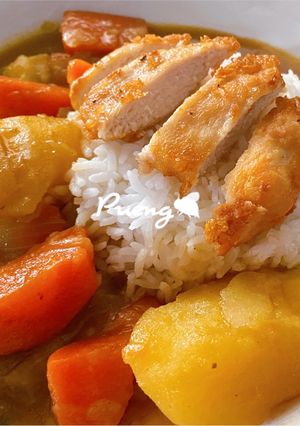 A picture of Japanese Curry Rice 🍛🍽.