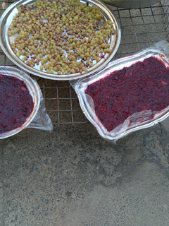 عکسی از دستور کشمش و لواشک خونگی