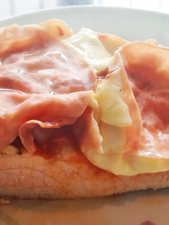 Una foto de Lomo a la pizza