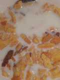 Homemade Cornflakes