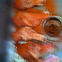 A picture of Dry Rub for chicken.