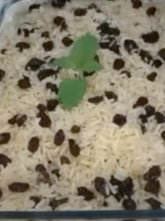 Foto de Arroz com passas