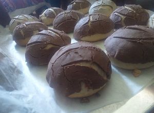 Una foto de Conchas