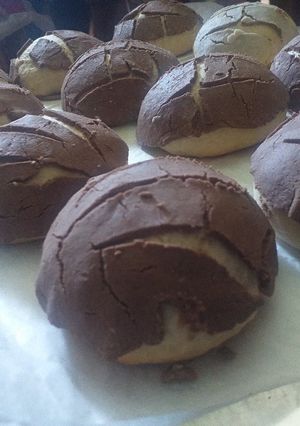 Una foto de Conchas