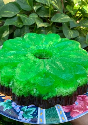 Foto resep Pudding lumut lapis coklat