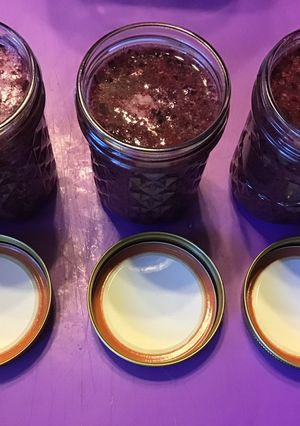 A picture of California Farm Blueberry Fruit Leather and Sun Drying.
