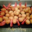 Buñuelos de bacalao