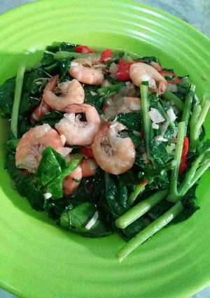 Foto resep Tumis Kailan Udang