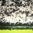 Oreo cake special