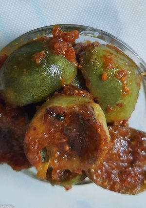 ગુંદા નું શાક (Gunda Shak Recipe In Gujarati) રેસીપી મુખ્ય ફોટો