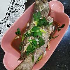 รูปของ Tim ikan kerapu