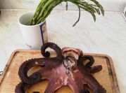 Una foto de paella de pulpo