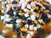 A picture of swiss chard spinach