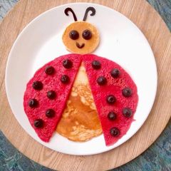A picture of Cutie Lady Bug.