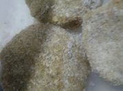 Una foto de falafel sin tacc